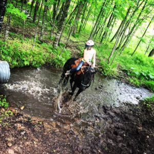 HORSEBACK RIDING IN THE ST. CROIX VALLEY